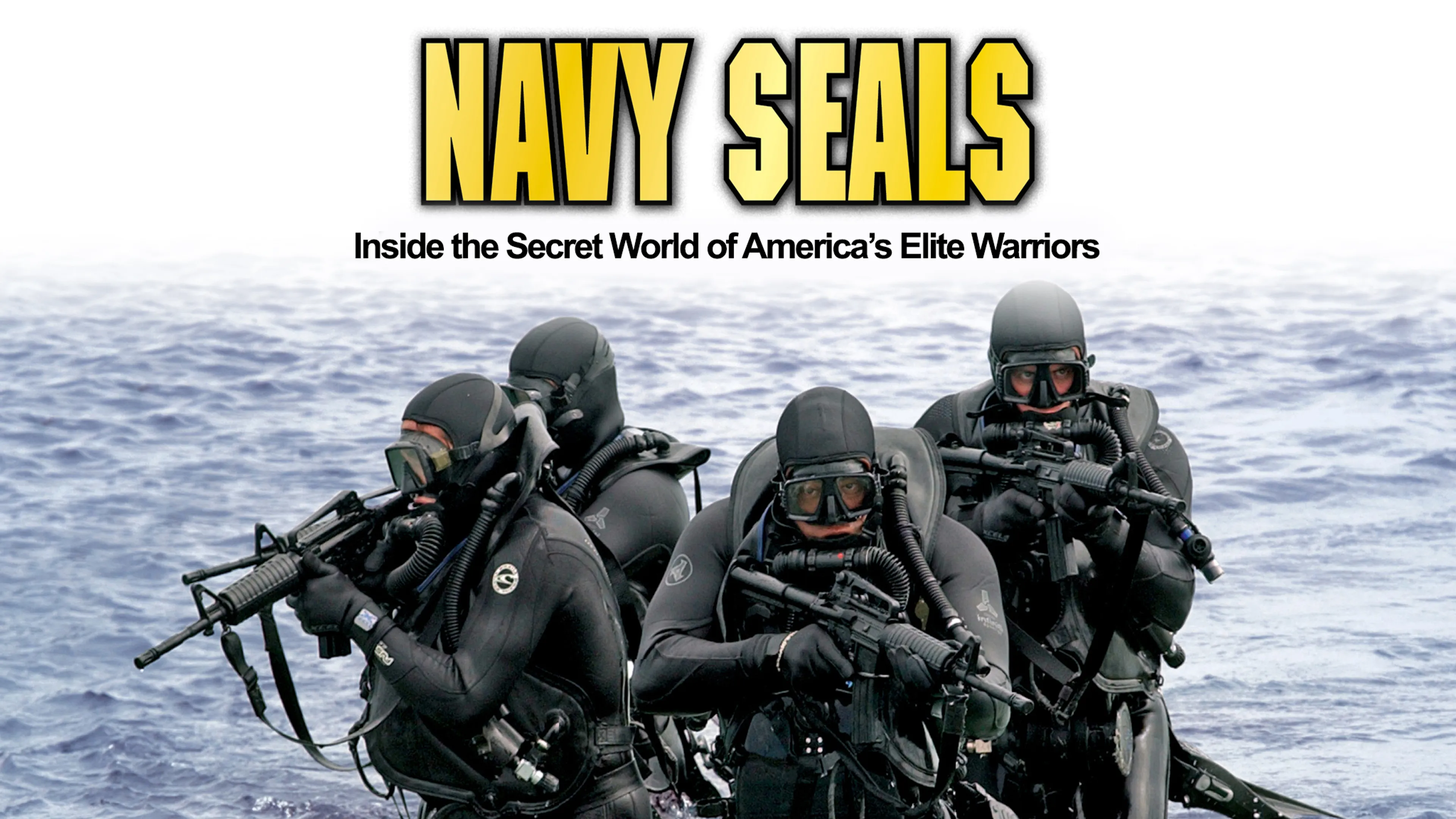 Navy SEALs poster